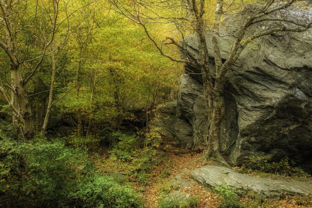 Smugglers Notch State Park