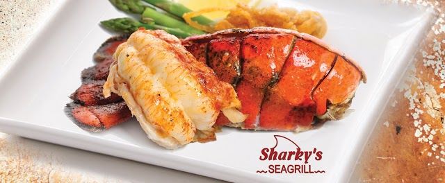 Sharky's Seagrill