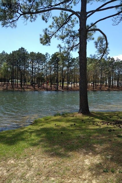 Twin Hills Park
