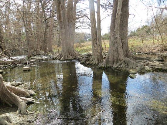 Cibolo Nature Center
