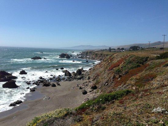 Bodega Dunes