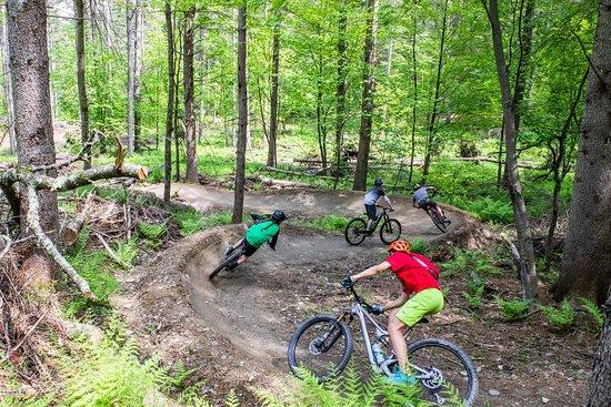 Stowe Mountain Bike Academy