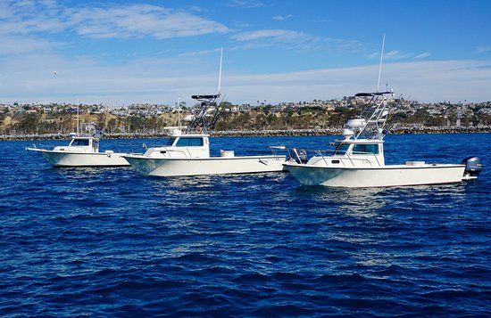 Dana Point Harbor