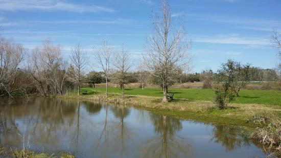 Matagorda County Birding Nature Center