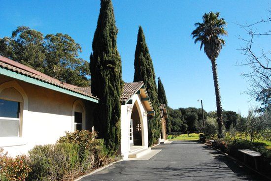 Madonna Estate Winery