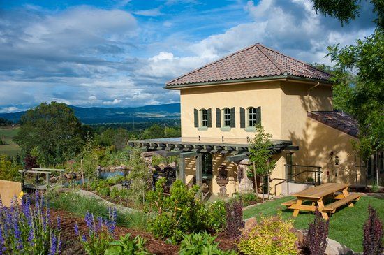 DANCIN Vineyards
