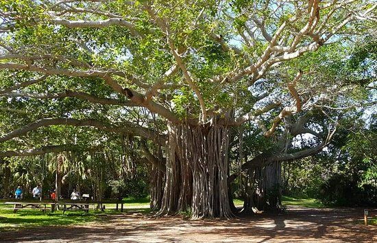 Hugh Taylor Birch State Park